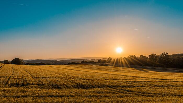 Sunrise Farm Walk